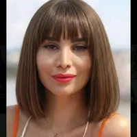 Elham M. Borojerdi